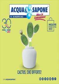 Copertina Volantino Acqua e Sapone Centro
